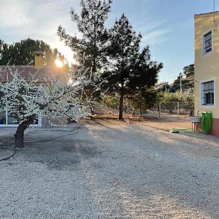 La Antigua Casa Del Astronomo Casa Rural Ricote Buitenkant foto